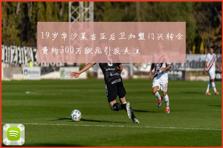 19岁华沙莱吉亚后卫加盟门兴转会费约300万欧元引发关注