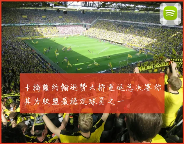 卡梅隆约翰逊赞大桥重返总决赛称其为联盟最稳定球员之一